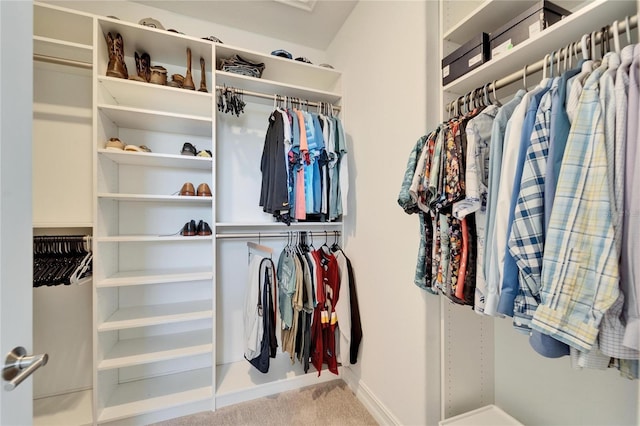 walk in closet with light carpet