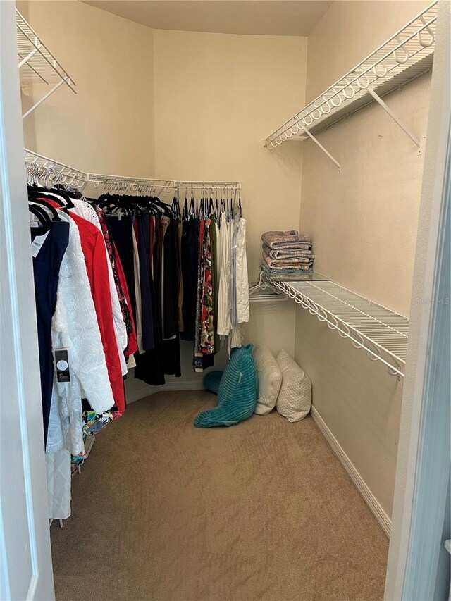 walk in closet with carpet flooring