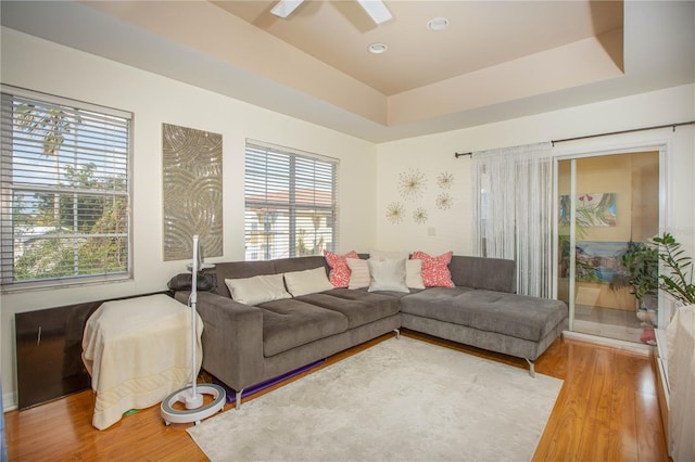 living room featuring a raised ceiling, light wood-type flooring, and ceiling fan