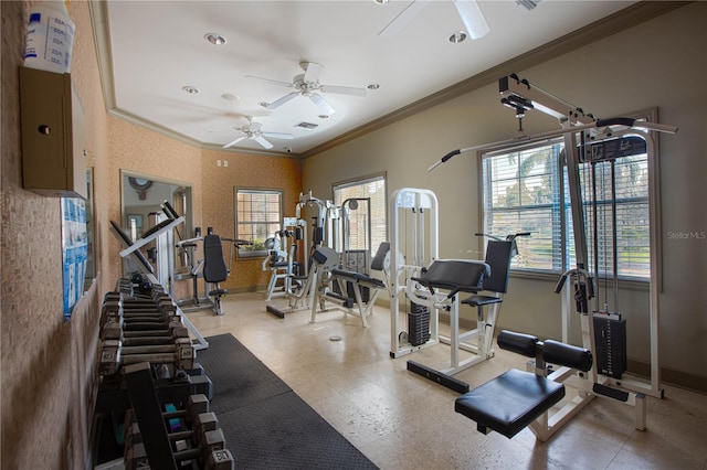 exercise room featuring ornamental molding and ceiling fan