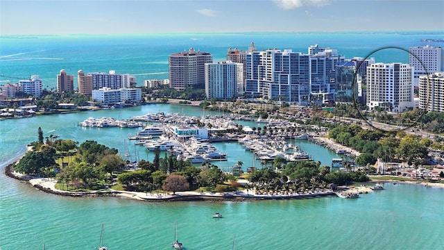 birds eye view of property with a water view