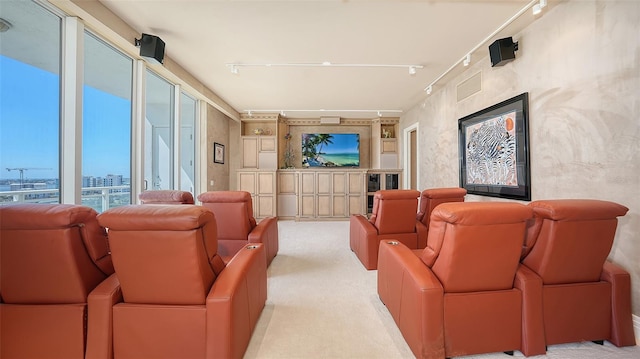 view of carpeted home theater