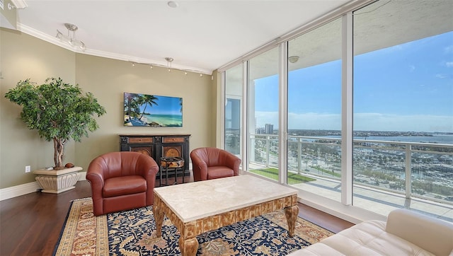 living room with expansive windows, a wealth of natural light, wood-type flooring, and crown molding