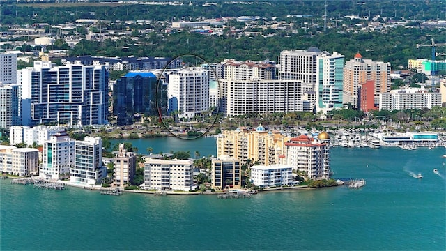 birds eye view of property featuring a water view