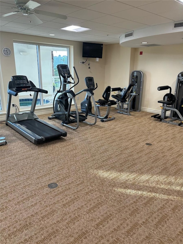 workout area with carpet flooring, a paneled ceiling, and ceiling fan