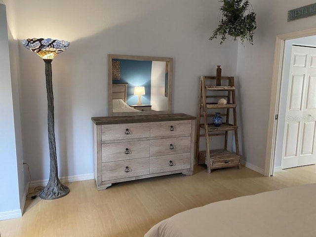 bedroom featuring light hardwood / wood-style floors