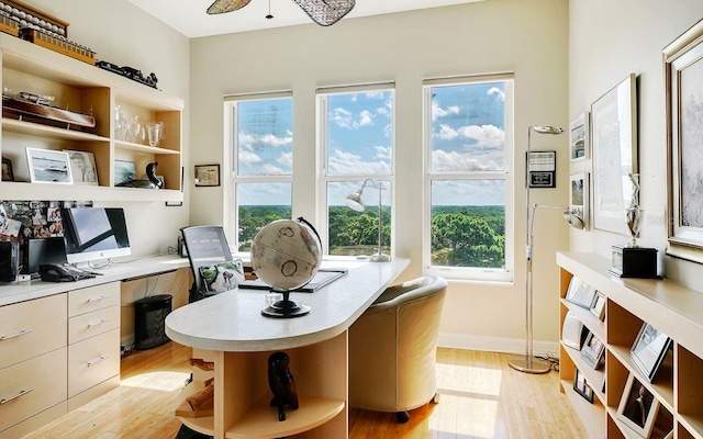 office space featuring ceiling fan, light hardwood / wood-style floors, and plenty of natural light