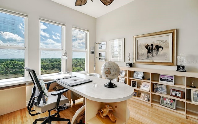 office area featuring light hardwood / wood-style floors, a healthy amount of sunlight, and ceiling fan