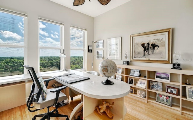 office featuring light wood-style floors, a ceiling fan, and a wealth of natural light