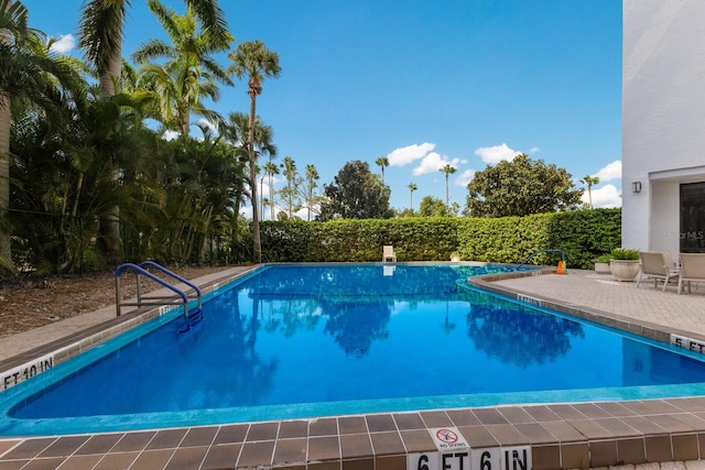 view of swimming pool with a patio area