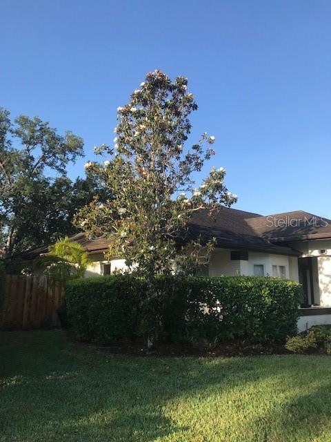 view of home's exterior featuring a yard