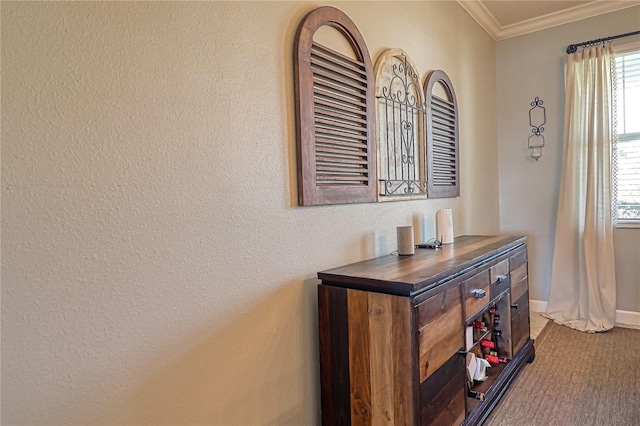 interior space featuring baseboards and crown molding