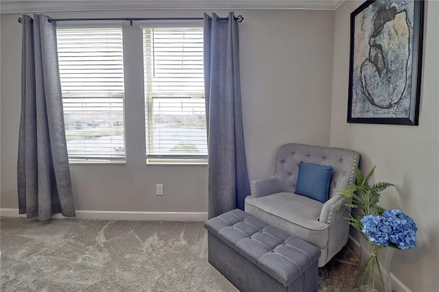 living area with carpet flooring and baseboards