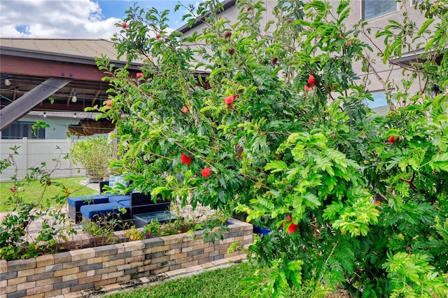 exterior space with a vegetable garden and fence