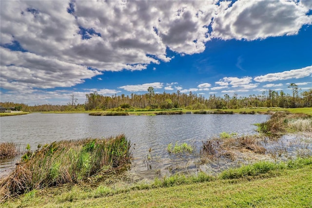 property view of water