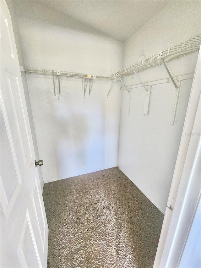 spacious closet with carpet