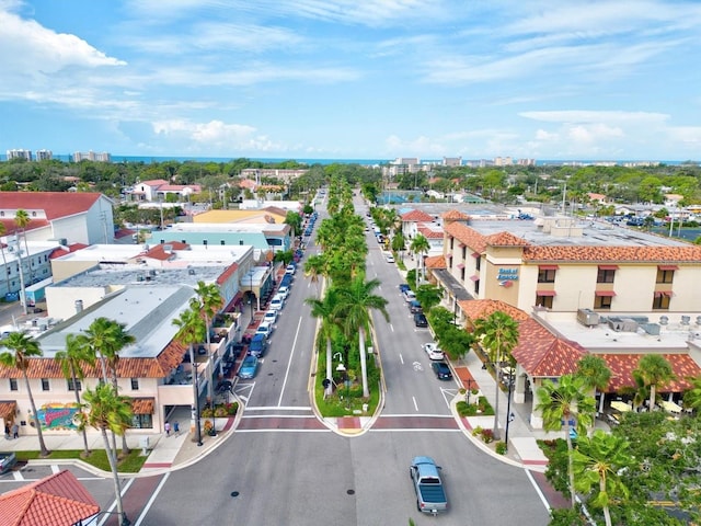 bird's eye view