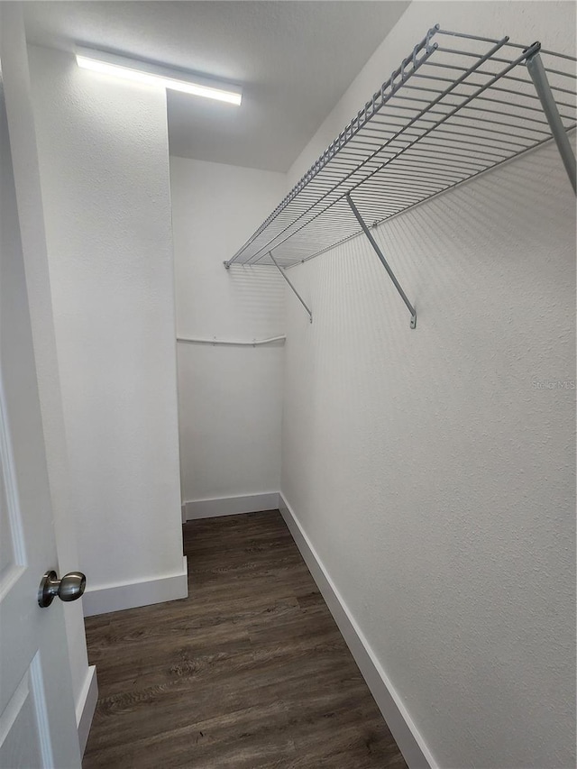 spacious closet with dark wood-style floors