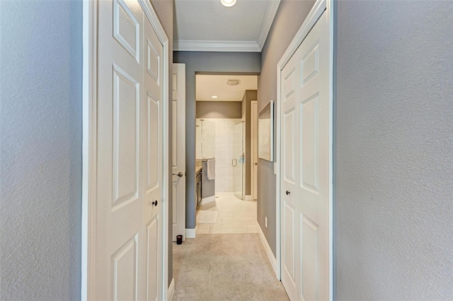 corridor with ornamental molding and light carpet