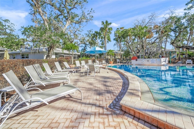 view of swimming pool with a patio