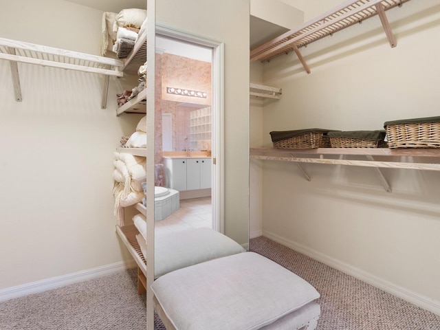 spacious closet with light carpet