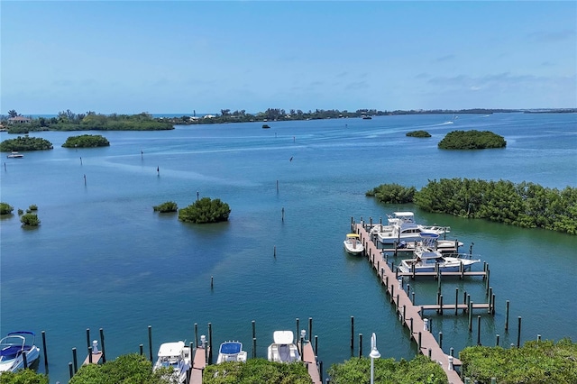 14041 Bellagio Way Unit 214, Osprey, FL 34229 - view of water feature featuring a dock