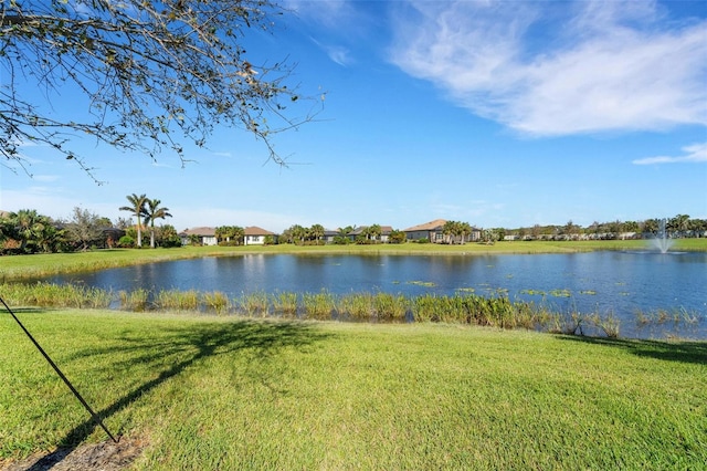 property view of water