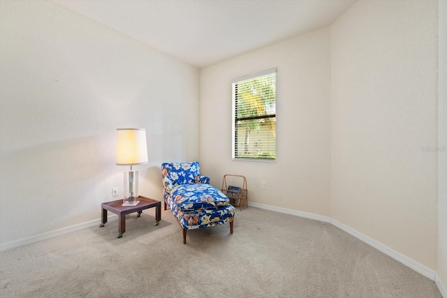 living area with light carpet