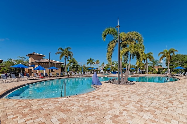 view of swimming pool featuring a patio area