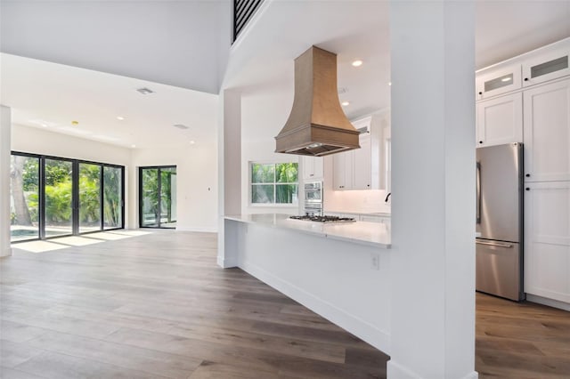 kitchen featuring white cabinetry, stainless steel appliances, dark wood-type flooring, and custom range hood