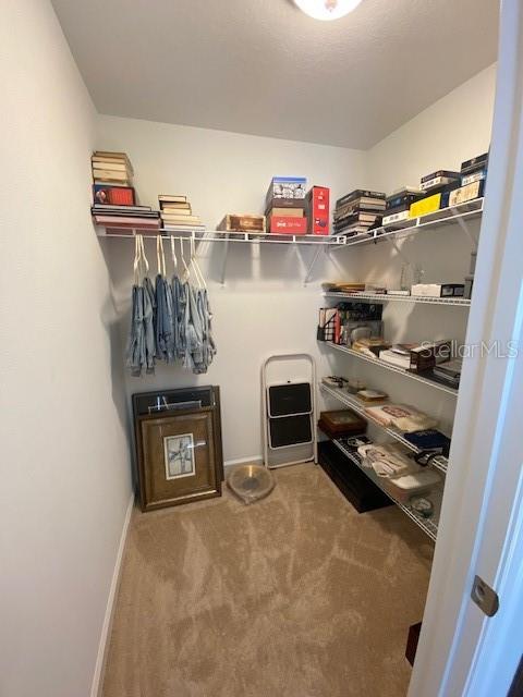 spacious closet featuring carpet flooring