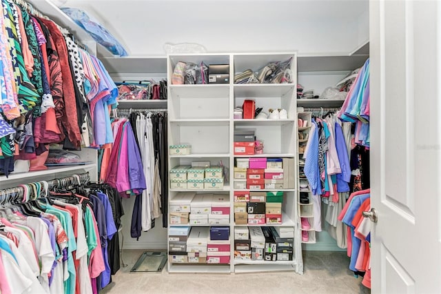 spacious closet with carpet flooring