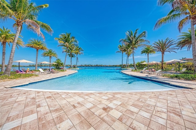 view of swimming pool with a water view and a patio