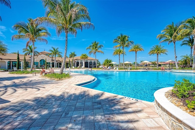 view of swimming pool with a patio