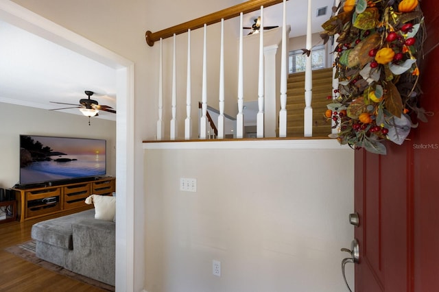 foyer with hardwood / wood-style floors and ceiling fan