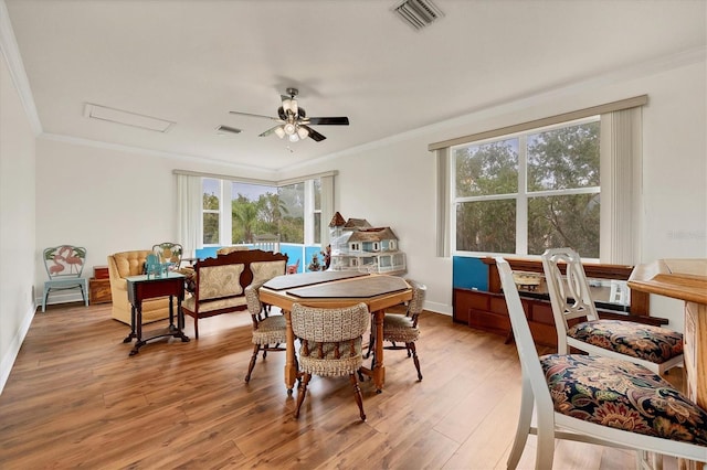 dining area with ceiling fan, crown molding, plenty of natural light, and hardwood / wood-style floors