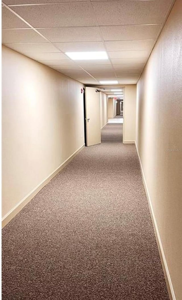 hall featuring carpet flooring and a drop ceiling