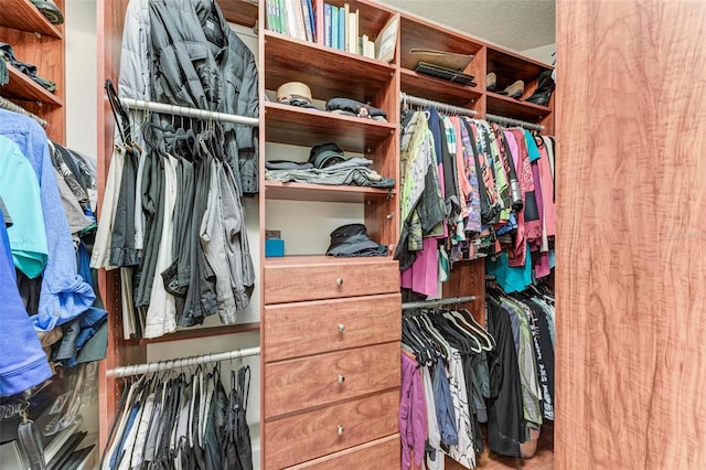 view of walk in closet