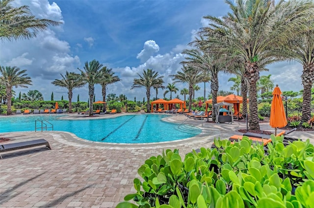 view of swimming pool with a patio area