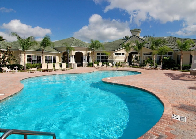 view of swimming pool with a patio