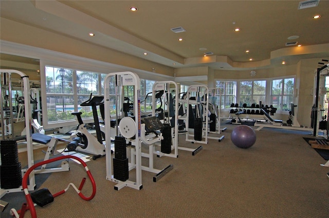 exercise room featuring carpet flooring and plenty of natural light