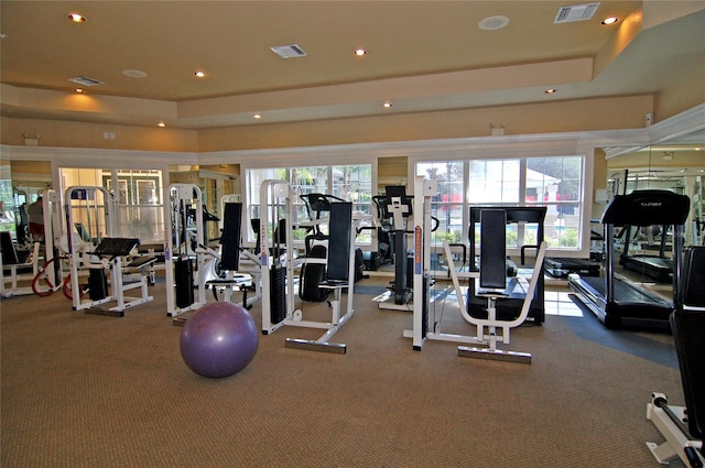 exercise room featuring a healthy amount of sunlight and a raised ceiling