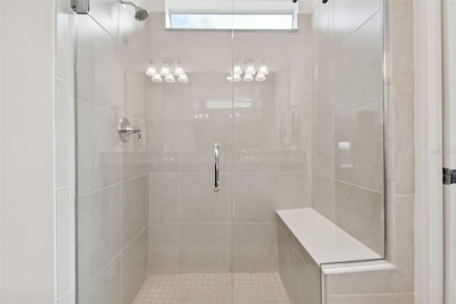 bathroom featuring a shower with shower door