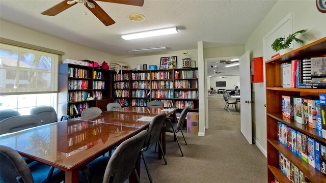 carpeted office with ceiling fan and a textured ceiling