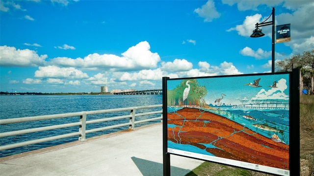 dock area with a water view