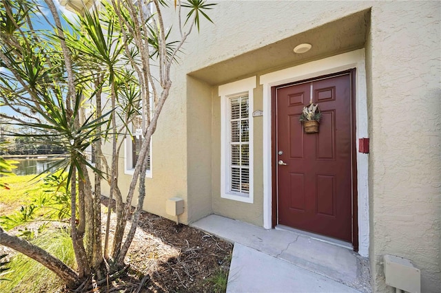 doorway to property featuring stucco siding