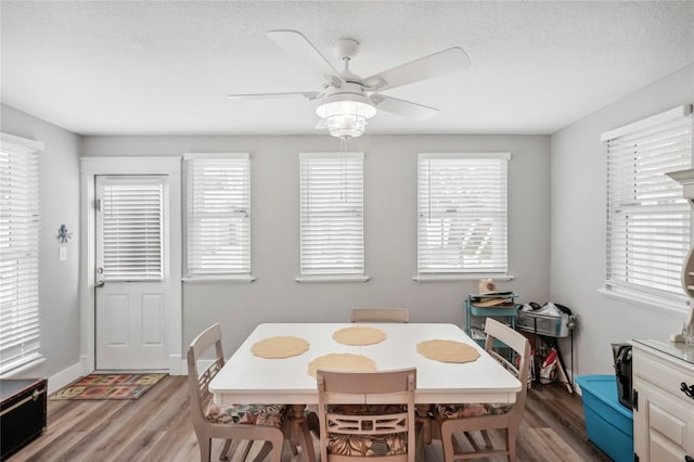 dining area with a textured ceiling, light hardwood / wood-style flooring, ceiling fan, and a healthy amount of sunlight