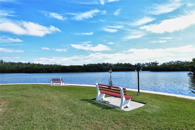 dock area with a water view and a lawn