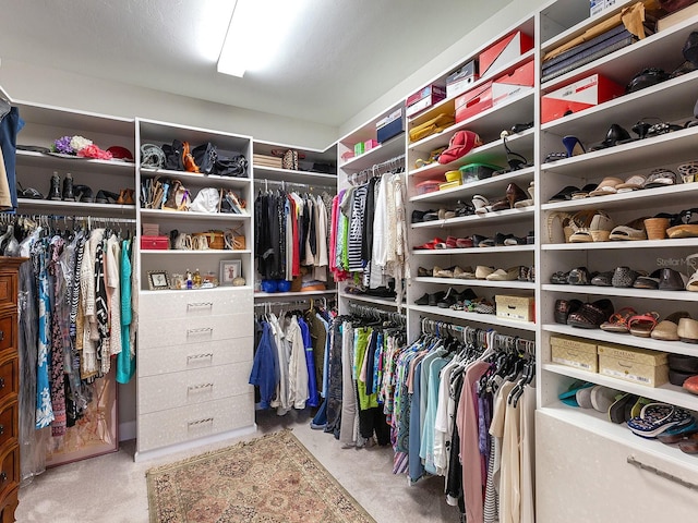 spacious closet featuring carpet floors