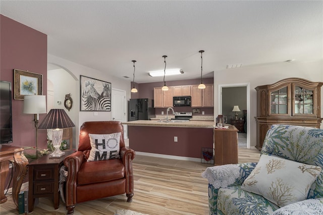 living room featuring sink and light hardwood / wood-style floors